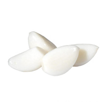 IQF wholesale garlic clove peeled